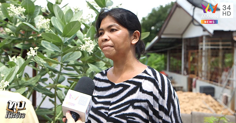 แม่ลูกทะเลาะกันเรื่องที่ดิน