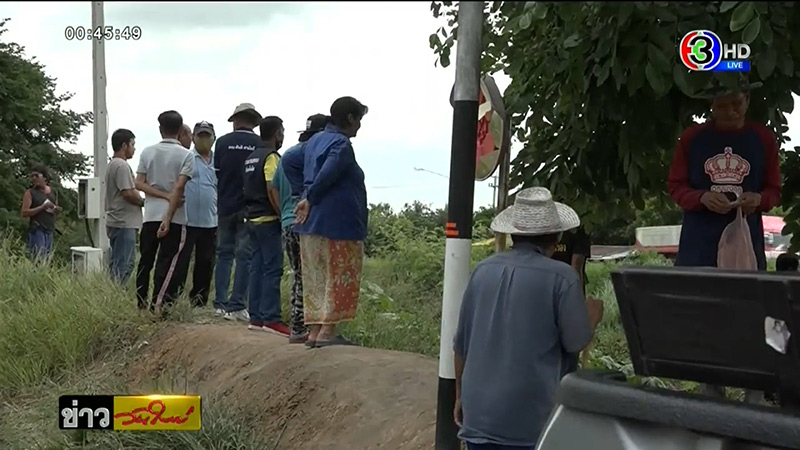 จระเข้โผล่คลองระพีพัฒน์