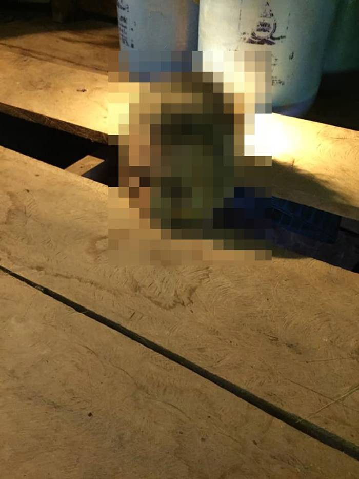 ไม้กระดานหนีบตาย