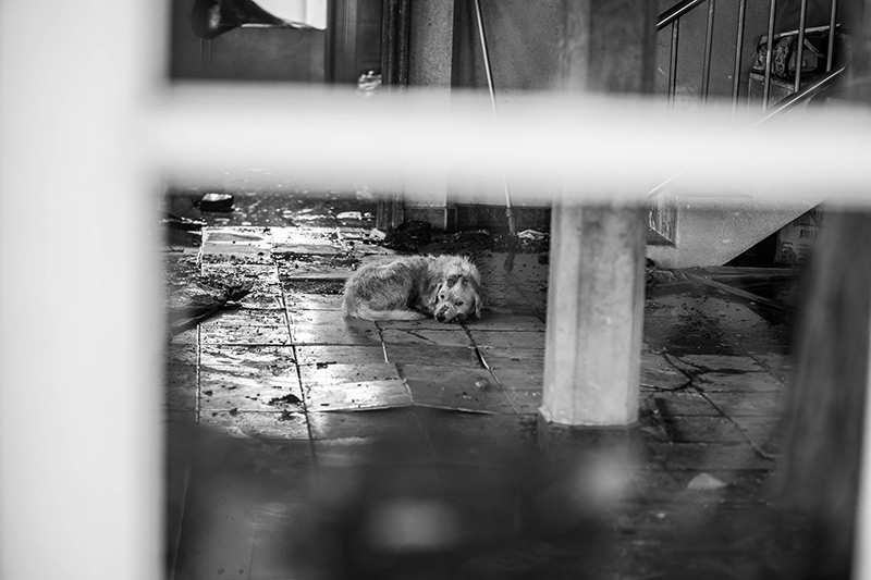 ท่อแก๊สระเบิดบางบ่อ