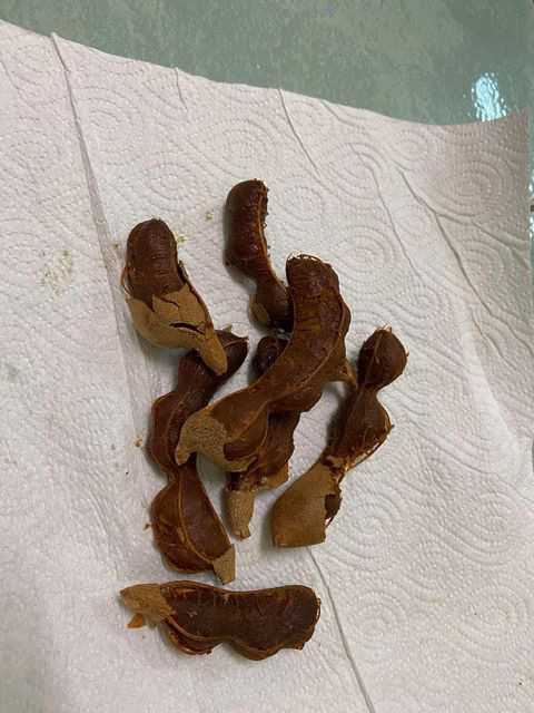 มะขามขึ้นรา