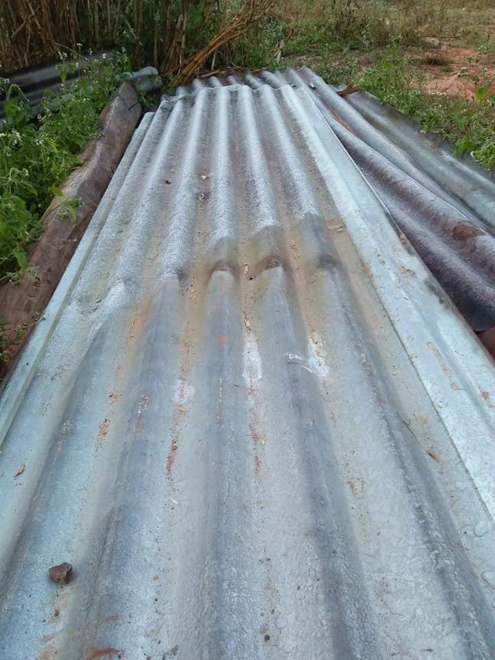 นักท่องเที่ยวหนาวตาย อุทยานแห่งชาติภูหินร่องกล้า