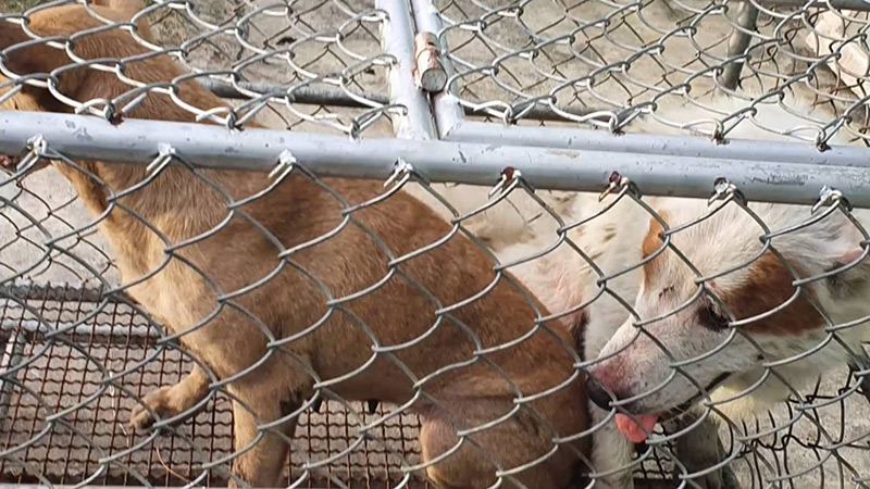 ค้างค่าเช่าบ้าน