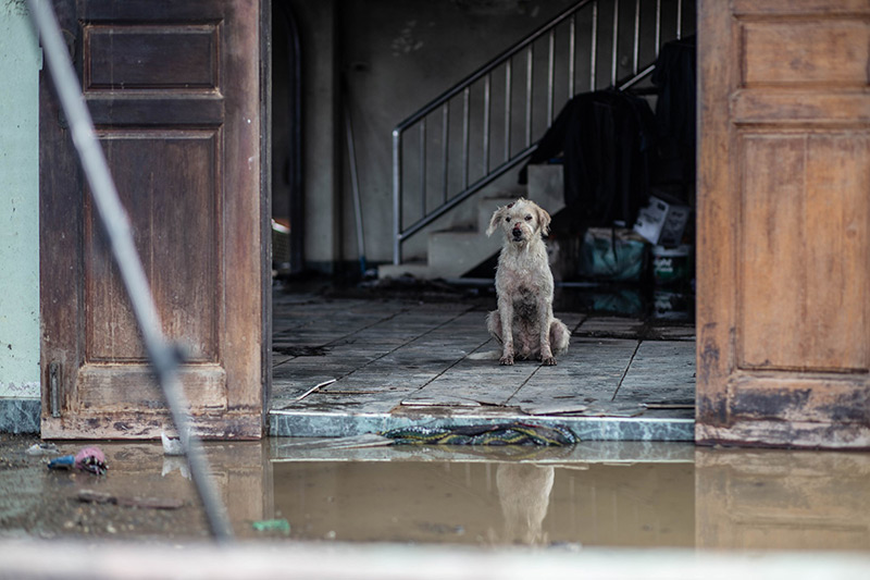 ท่อแก๊สระเบิดบางบ่อ