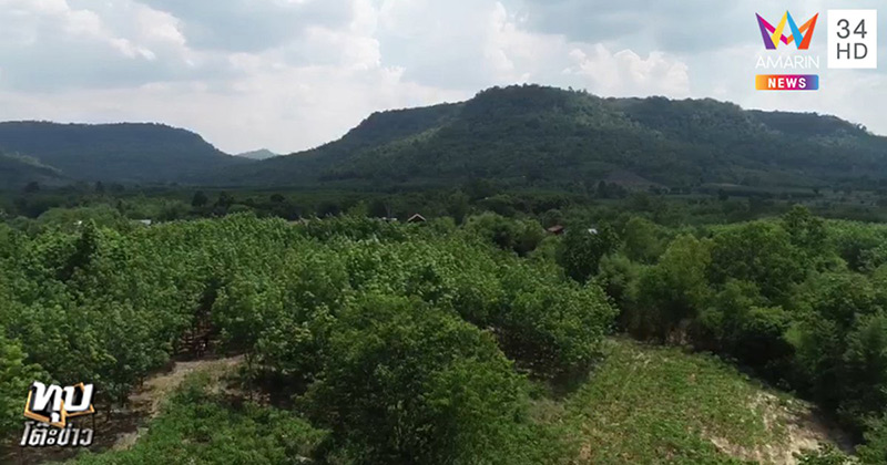 คดีน้องชมพู่