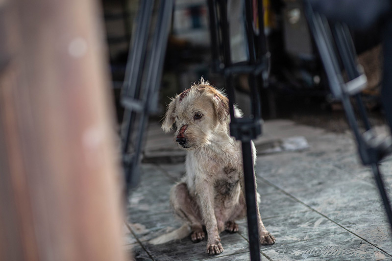 ท่อแก๊สระเบิดบางบ่อ