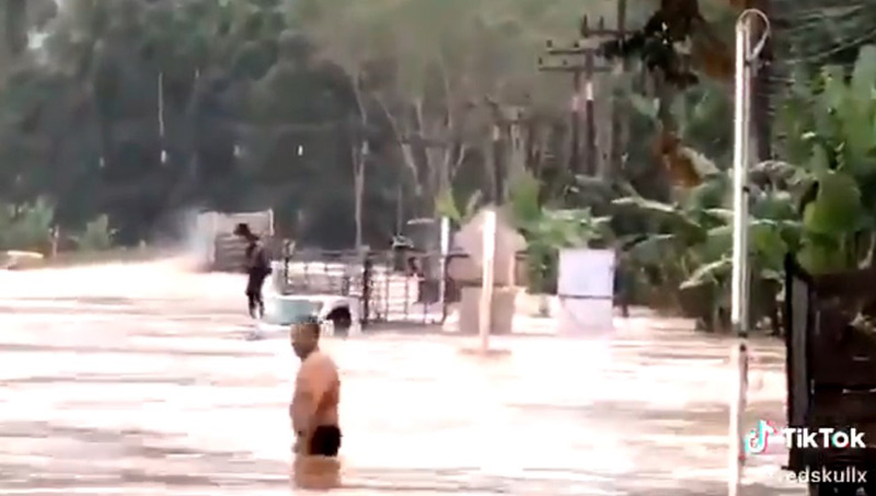 กระบะฝ่าน้ำท่วม