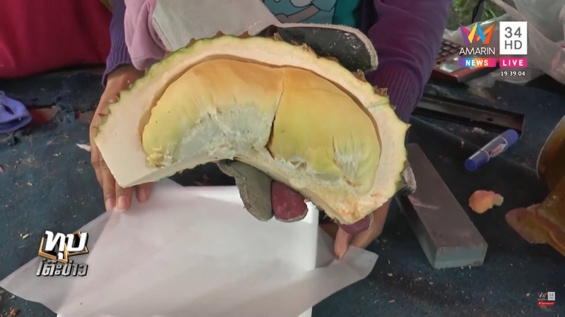 ทุเรียน