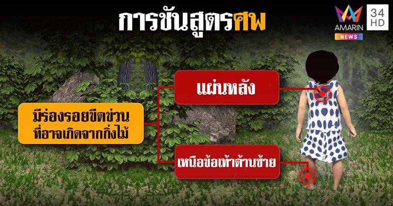 คดีน้องชมพู่