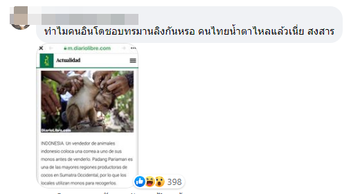 ลิงเก็บมะพร้าว