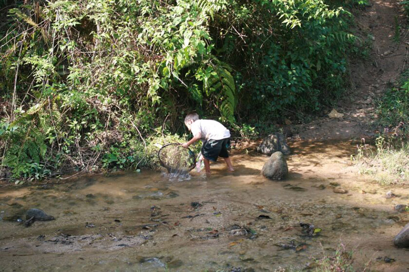 ปลาค้างคาวอมก๋อย