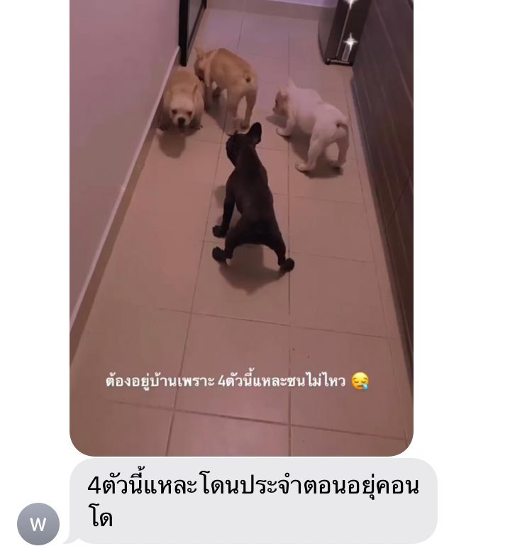 แฉนักร้องวงดัง ทำร้ายแฟน 