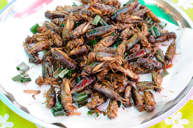 สาวกระโดดตึก เรื่องจิ้งหรีดทอด