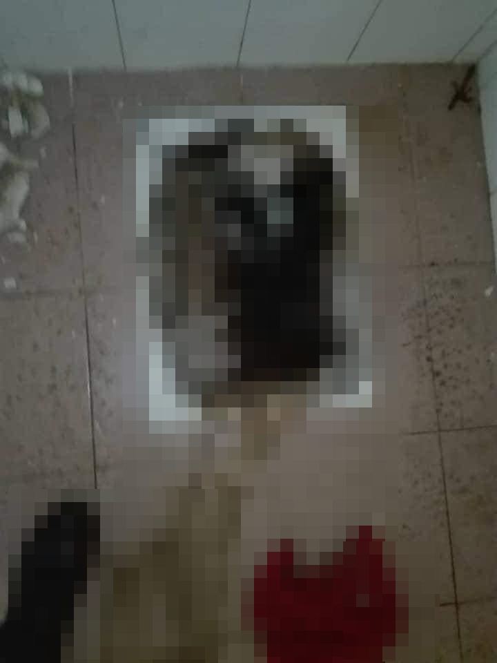 คนตกส้วม