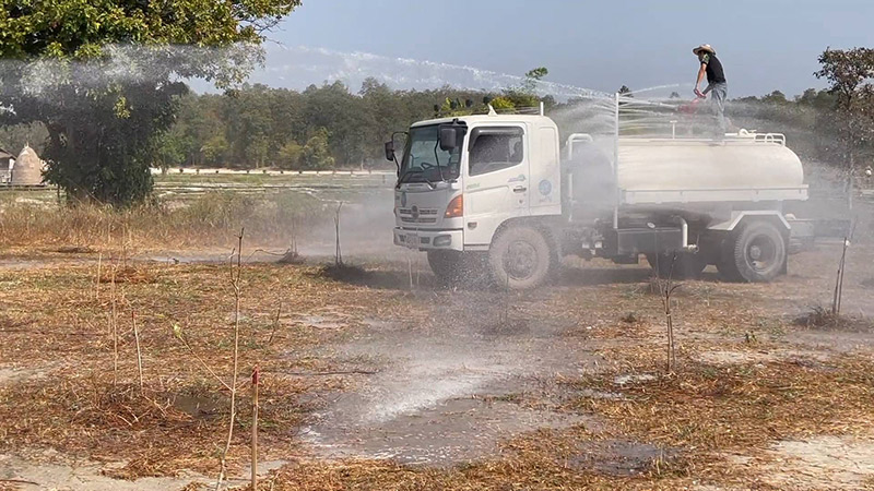 ต้นไม้ของฌอน ประวิตร แตกใบอ่อน