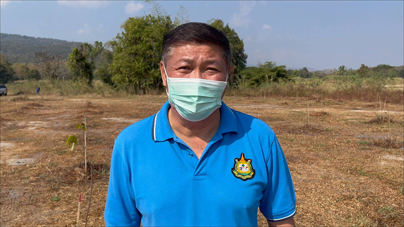 ต้นไม้ของฌอน ประวิตร แตกใบอ่อน