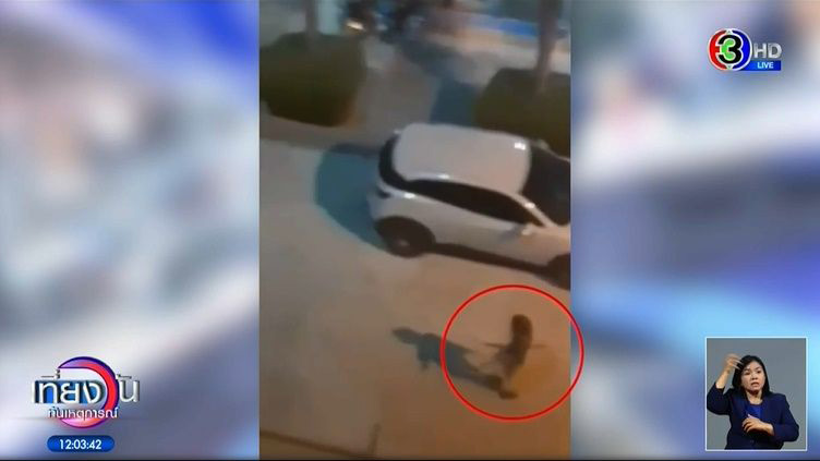 แฉวีรกรรมไบค์เกอร์สาว