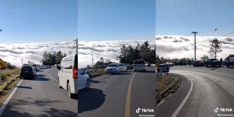 ทะเลหมอกดอยอินทนนท์