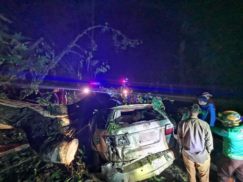 ต้นไม้ล้มทับรถนักธุรกิจ พ่อแม่ลูกดับยกครัว