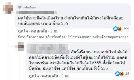 ต้นตีนเป็ดน้ำ