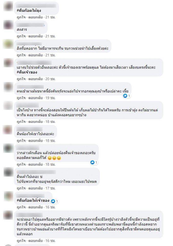 ลิงก็อตซิลล่า