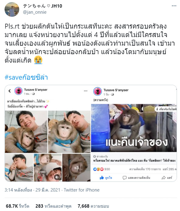 ลิงก็อตซิลล่า