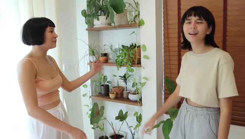 อินฟลูก๊อปบ้าน