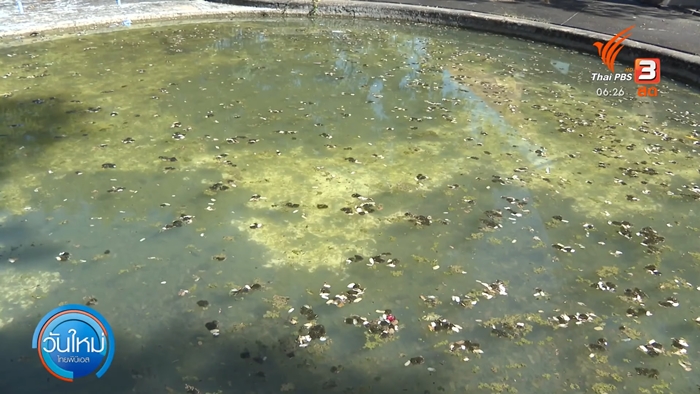 ลูกบ้านสุดทนร้องบ้านจัดสรร