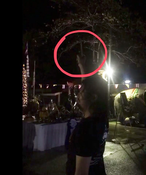 เสก โลโซ