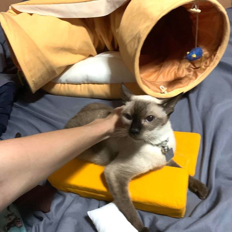 ซื้อของออนไลน์