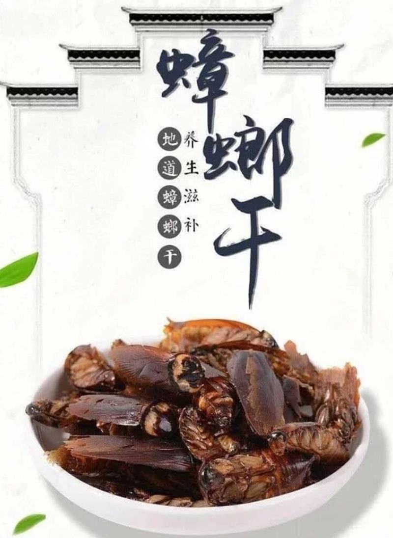 แมลงสาบอบแห้ง