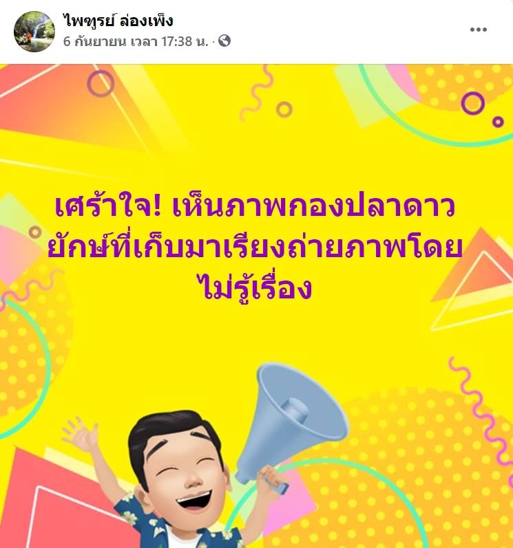 จับปลาดาวมาถ่ายรูป