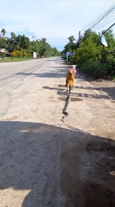 ยายจับงูมือเปล่า