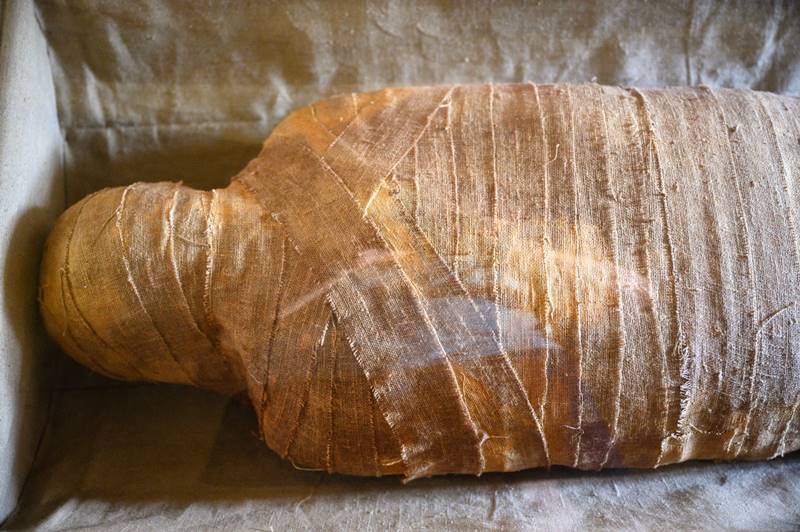 ลูกซ่อนศพแม่