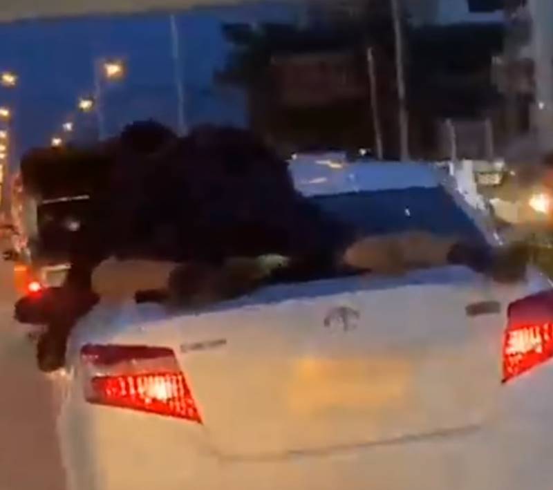 เกาะรถง้อแฟน