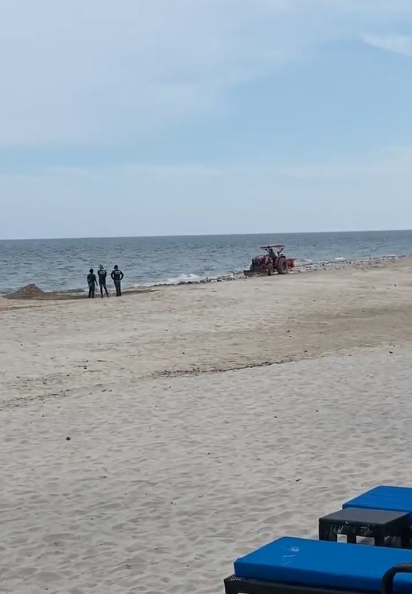 โรงแรมใช้แทร็กเตอร์กลบขยะบนชายหาด