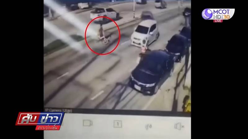 รถตำรวจชนยายข้ามถนน