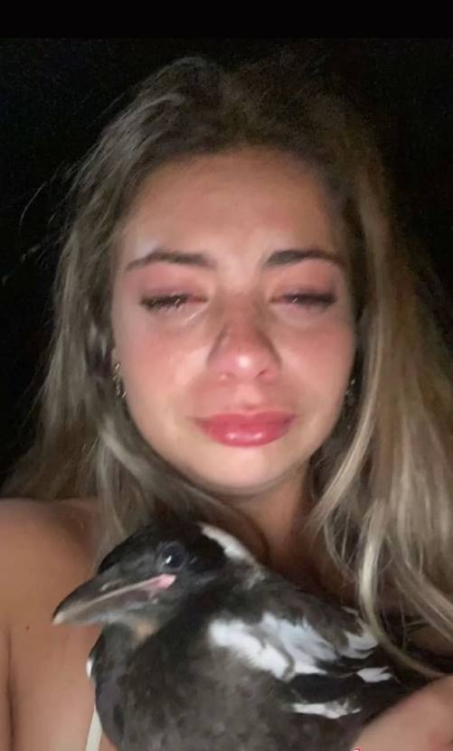 สาวเมาร้องไห้หนัก พานกกางเขนกลับบ้าน