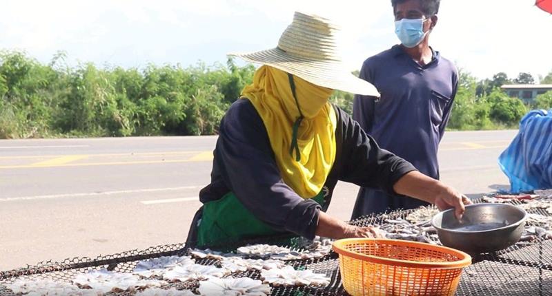 ชาวพิจิตรน้ำท่วมทุ่งนา จับปลาขาย