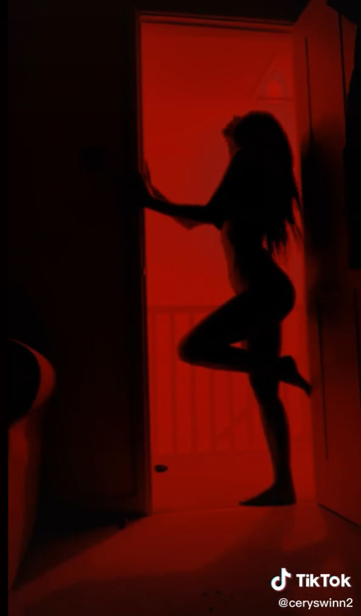 Silhouette Challenge