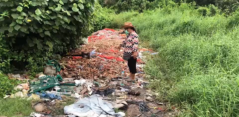 ทิ้งปูทะเลริมทาง