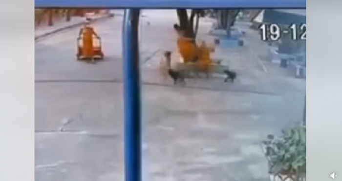 พระลูกวัดเตะก้านคอรองเจ้าอาวาส