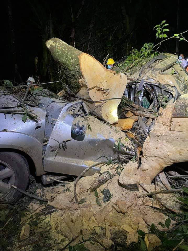 ต้นไม้ล้มทับรถนักธุรกิจ พ่อแม่ลูกดับยกครัว