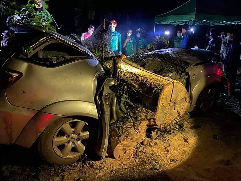 ต้นไม้ล้มทับรถนักธุรกิจ พ่อแม่ลูกดับยกครัว