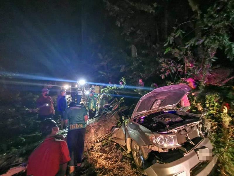 ต้นไม้ล้มทับรถนักธุรกิจ พ่อแม่ลูกดับยกครัว