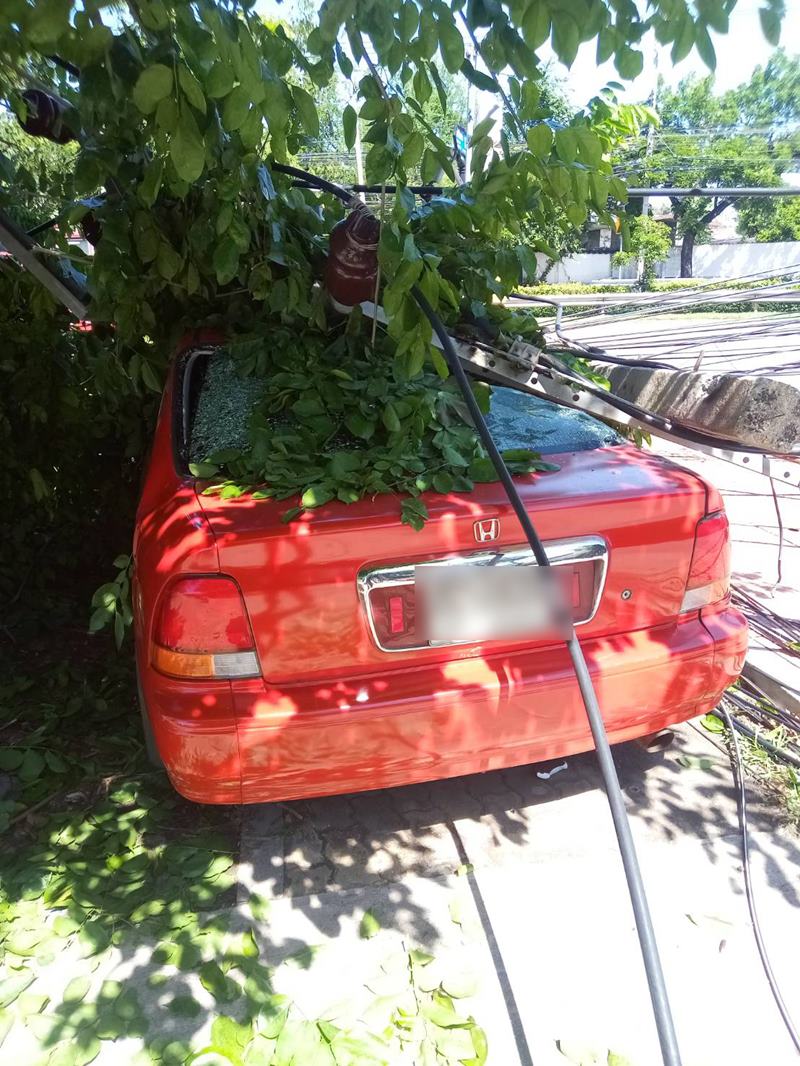 รถเมล์สาย 8 ชนเสาไฟฟ้าล้ม 6 ต้น