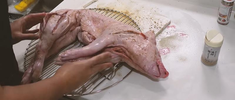 ยูทูบเบอร์เลี้ยงหมูครบ 100 วัน จับย่างกิน 