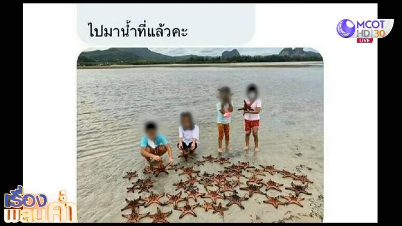 จับปลาดาวมาถ่ายรูป