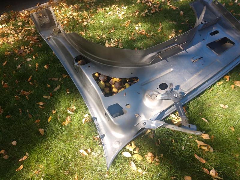 กระรอกเก็บวอลนัทเต็มรถ