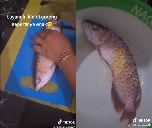 เมียฉุนผัวไม่ยอมล้างตู้ปลา จับปลาแอโรวานาทอด